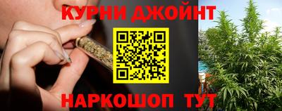молекула духа Кингисепп