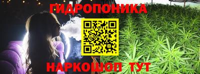 бошки Кимры