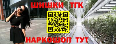 молекула духа Кингисепп