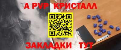 молекула духа Кингисепп