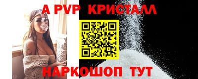 молекула духа Кингисепп