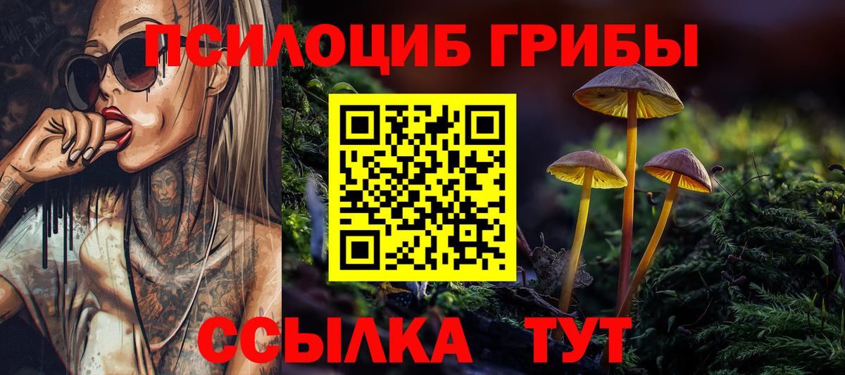 Галлюциногенные грибы прущие грибы  Вход с VPN  Красный Сулин 