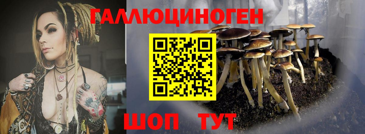 ГАШ  Вход с VPN  Бошки Шишки  APVP СК   МЕФ   Красный Сулин  Cocaine 