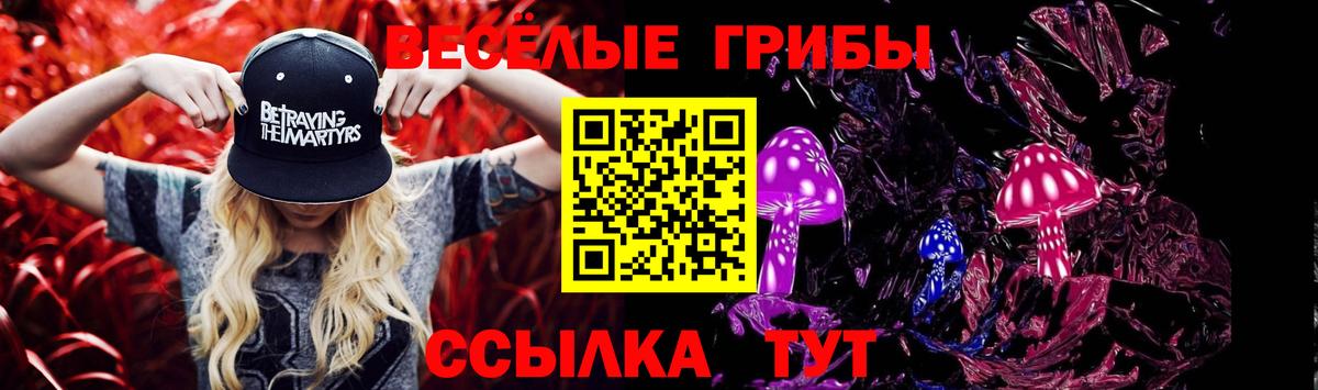 Галлюциногенные грибы Cubensis Красный Сулин